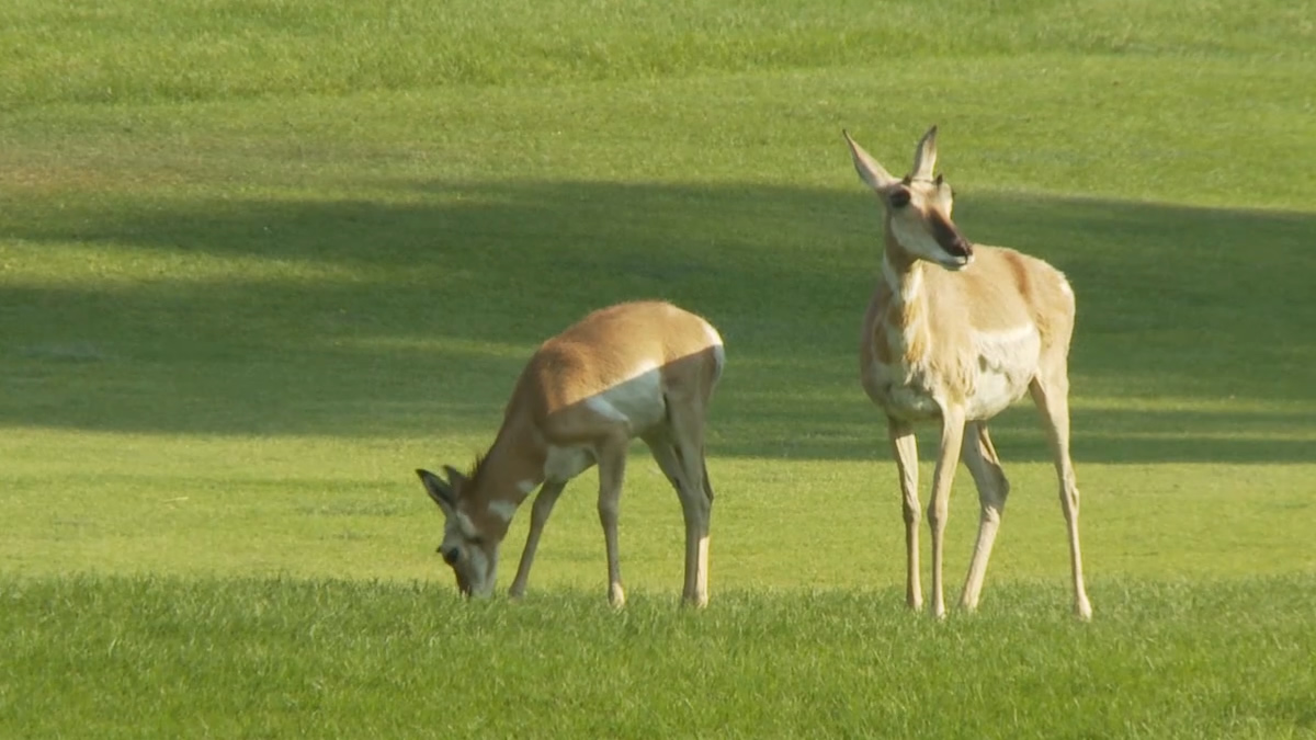 Plan a Visit to Sinclair, Wyoming