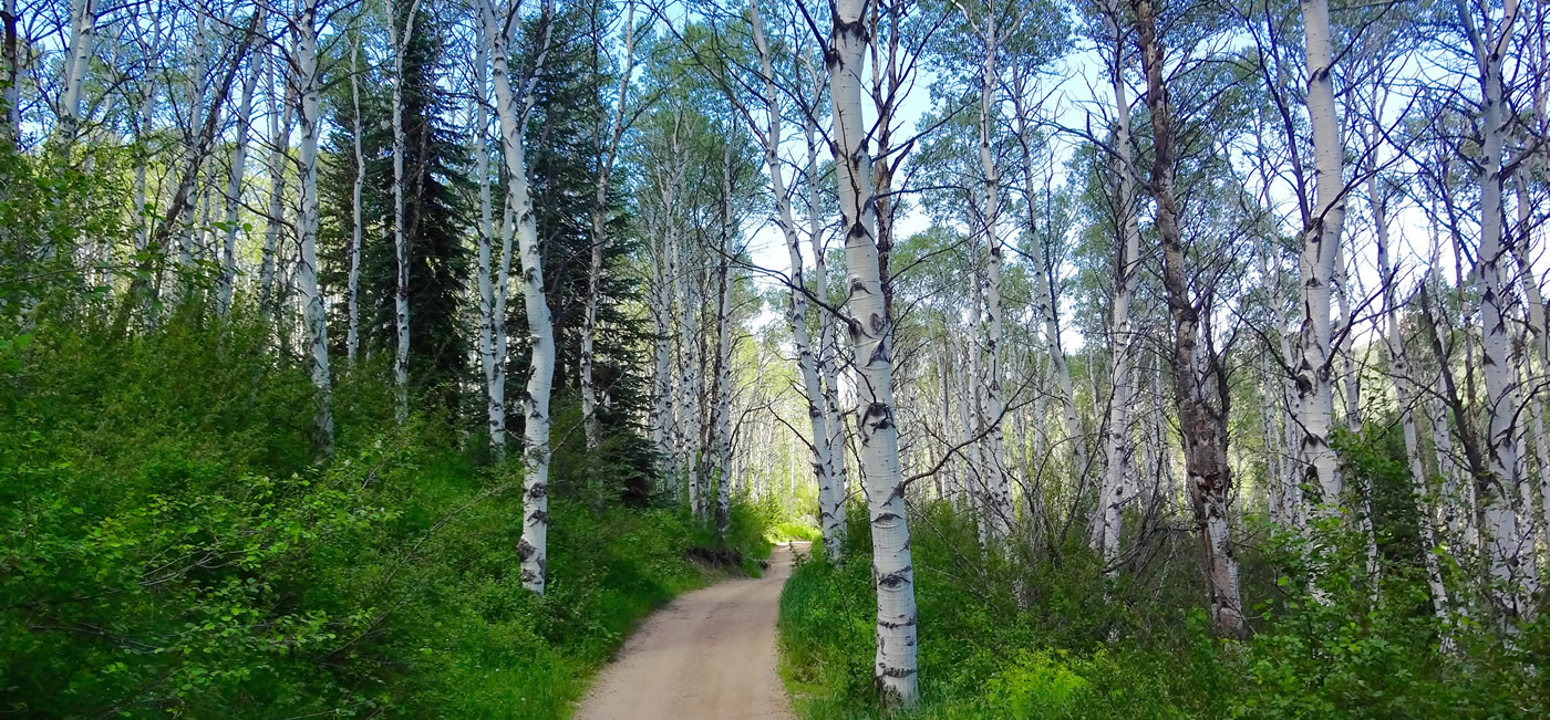 carbon county hikes