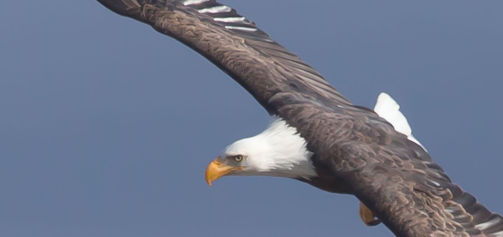 Discover Carbon County, Wyoming Seminoe State Park
