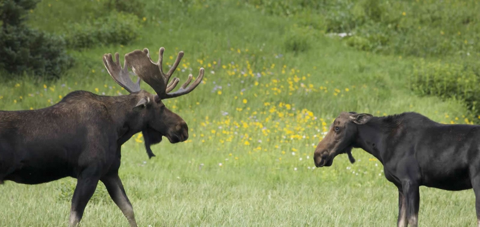 Discover Carbon County, Wyoming Seminoe State Park